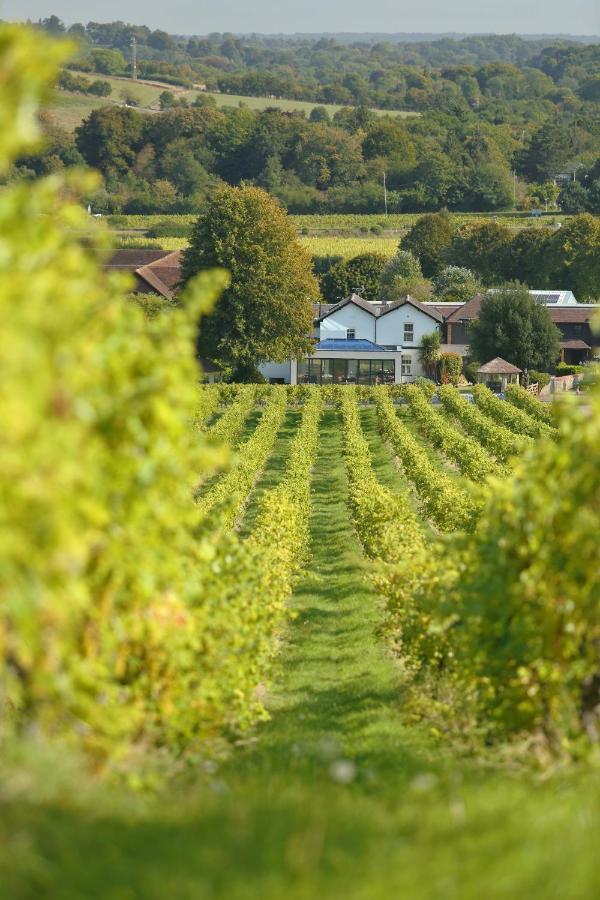 Denbies Vineyard Hotel Dorking Dış mekan fotoğraf