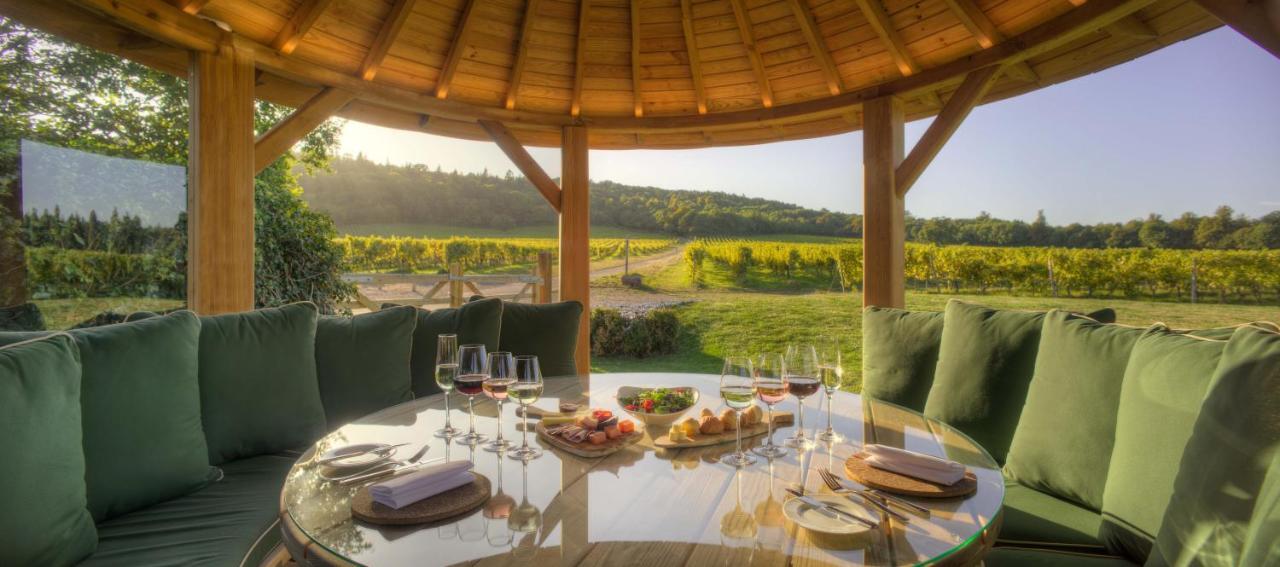 Denbies Vineyard Hotel Dorking Dış mekan fotoğraf