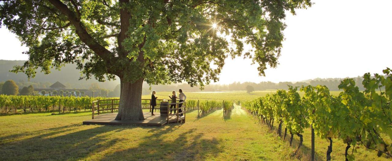 Denbies Vineyard Hotel Dorking Dış mekan fotoğraf