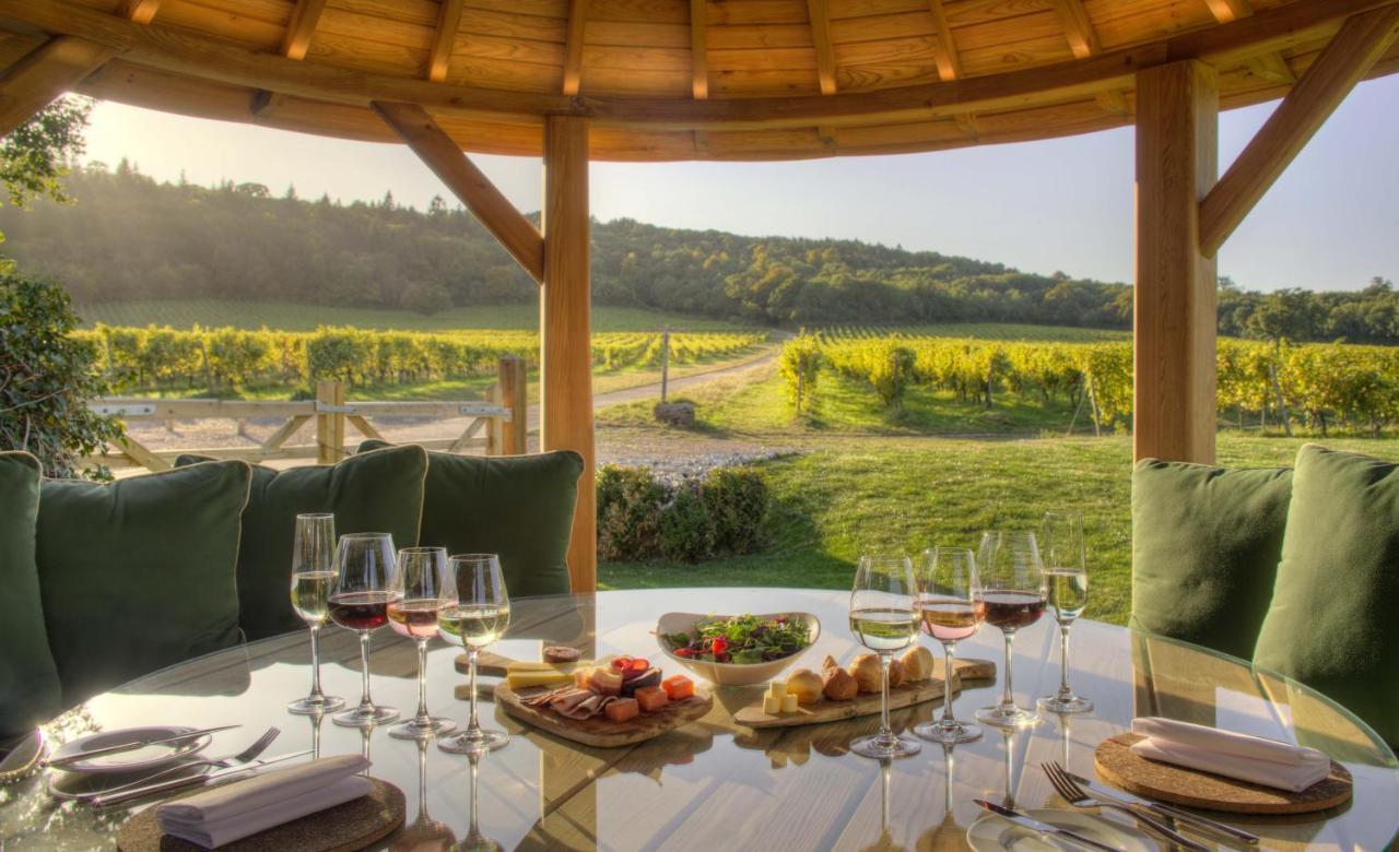 Denbies Vineyard Hotel Dorking Dış mekan fotoğraf