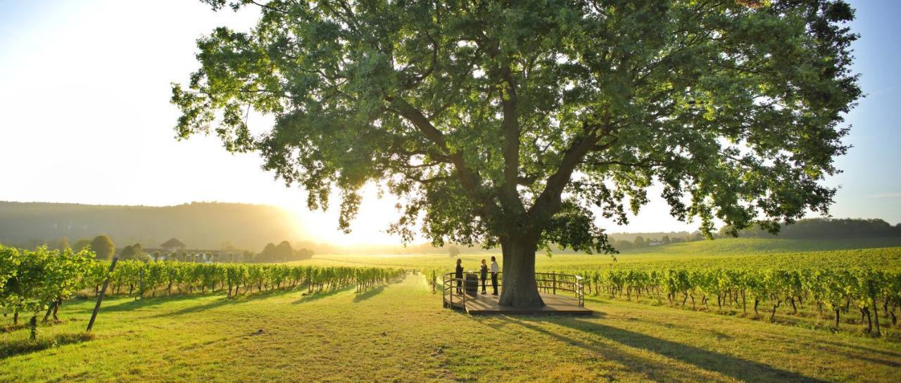 Denbies Vineyard Hotel Dorking Dış mekan fotoğraf