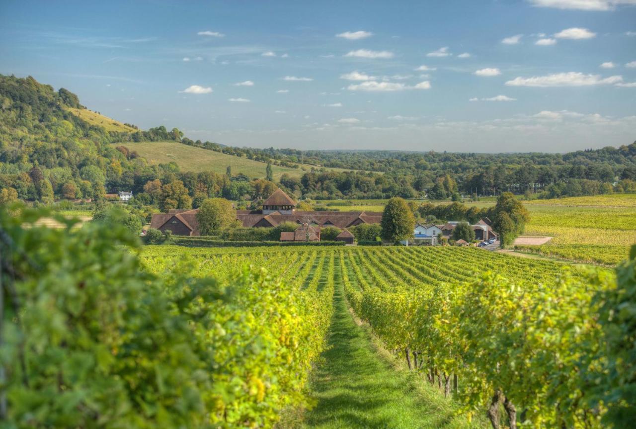 Denbies Vineyard Hotel Dorking Dış mekan fotoğraf